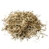 Vervain