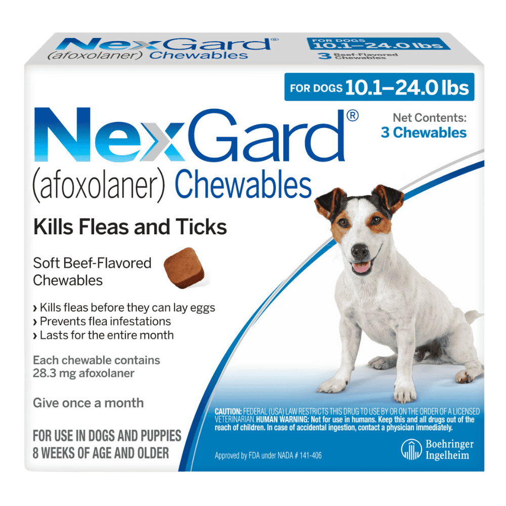 Nexgard for dogs 24 60 lbs best sale